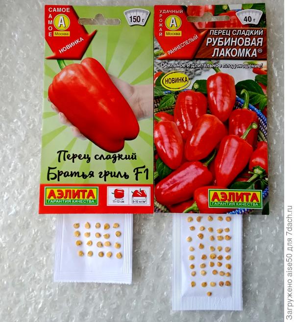 счит