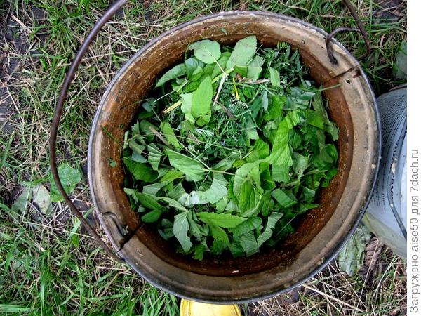 измельченная трава