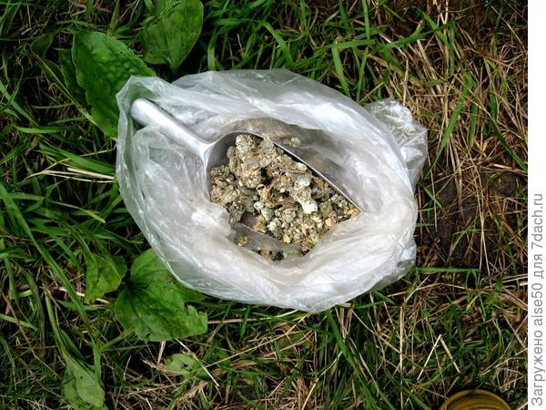 100 г куриного помета