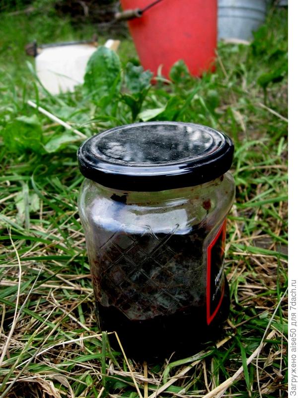 старое варенье