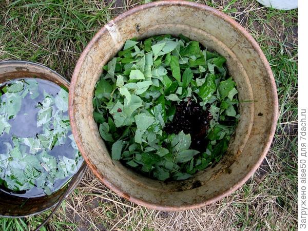 доб варенье к смеси закваски и травы
