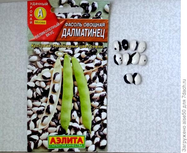 в пакете