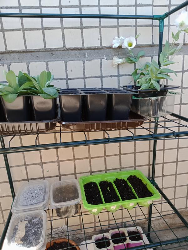 Парник собран, но ещё без чехла