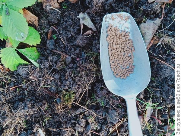 Удобрение для клубники и ягод также гранулированное
