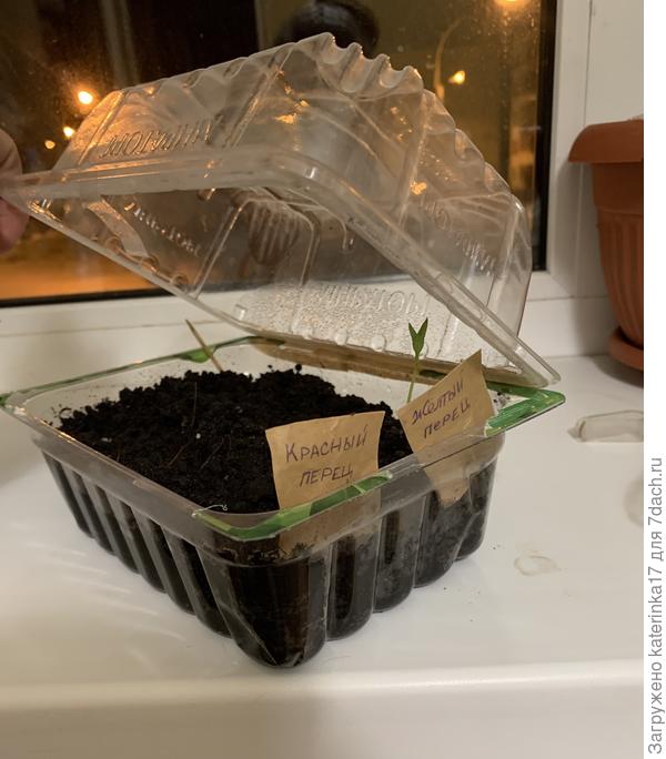 Вот стоит в одиночестве, бедолага)