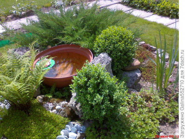 Это маленький кусочек одной из композиций моего сада