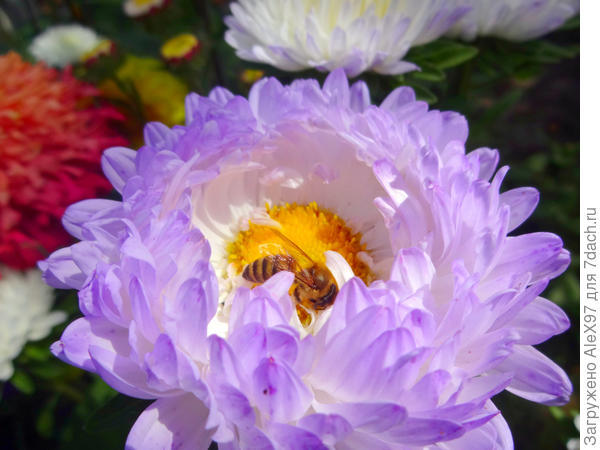 Сентябрь - не время отдыхать