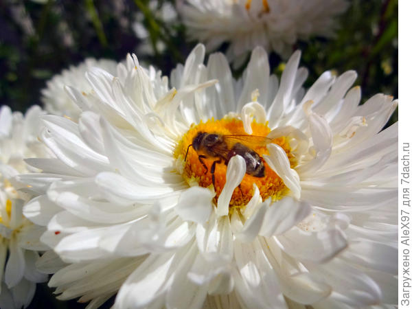 На солнышке