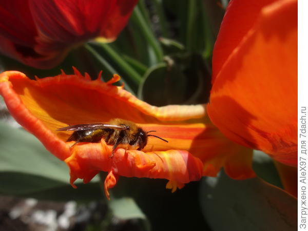 Кажется пора отдохнуть....