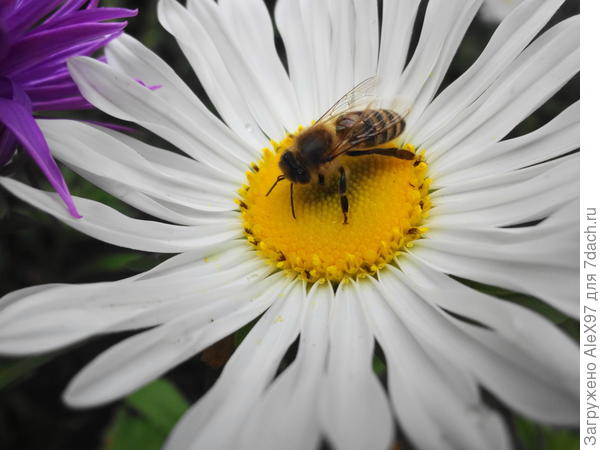 Работы в самом разгаре