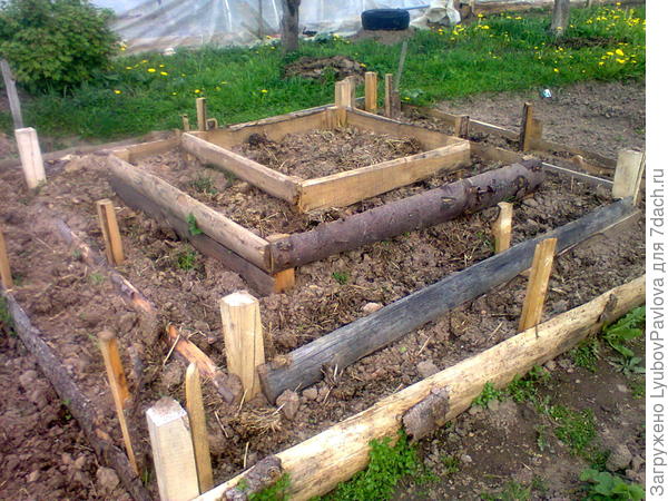 Земляника растёт вот на такой пирамиде