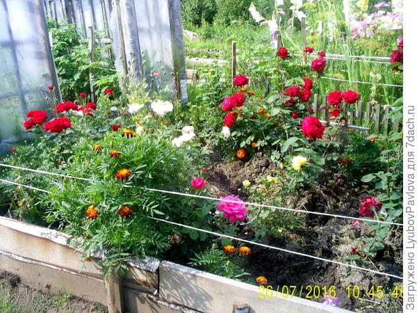 Цветники в коробах