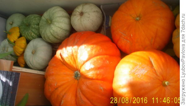 &quot;Крошки&quot; на заднем плане.