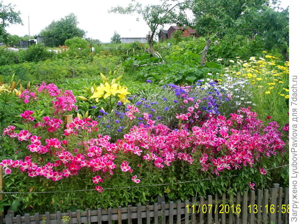 Цветники в коробах и не только.....