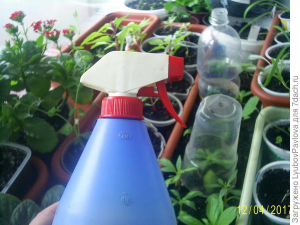 И конечно же пульверизатор для опрыскивания растений. Без него тоже не обойтись.