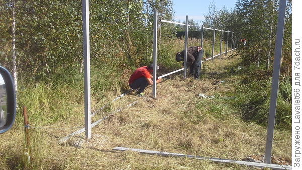 Участок с травой выше пояса мы выкосили по периметру.