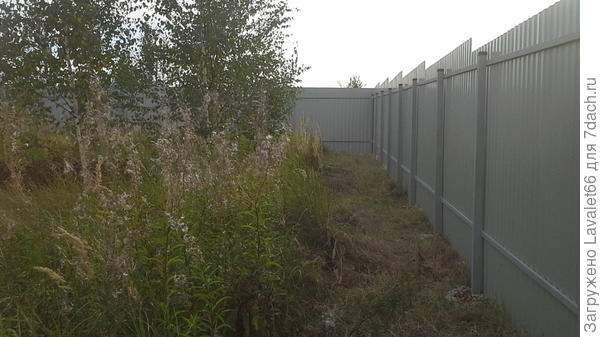 Так смотрится внутри участка, уже темнеет.