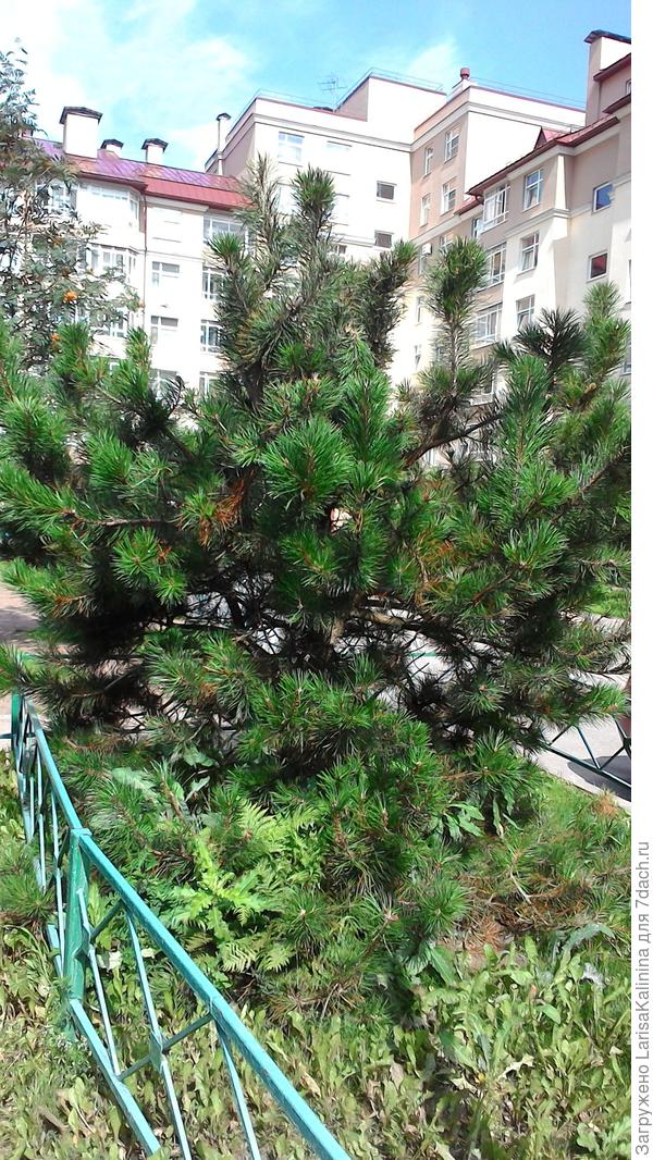 С другой стороны...