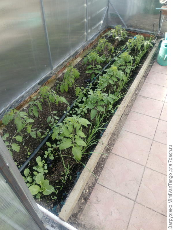 Вот так это выглядит сегодня