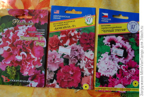 Что то из этого.