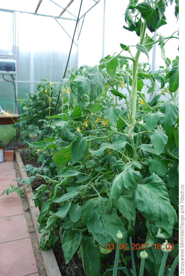 Пора проредить.