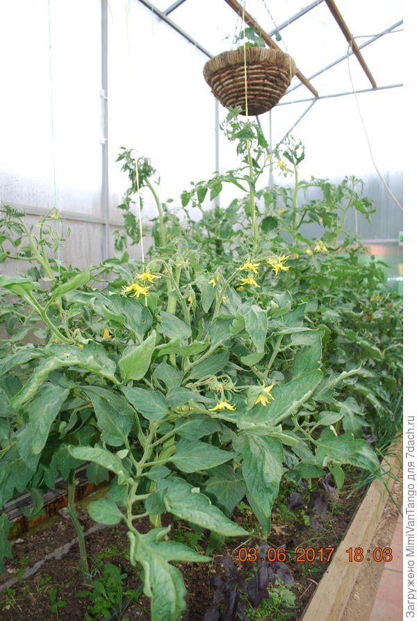 Тоже хотел заняться.