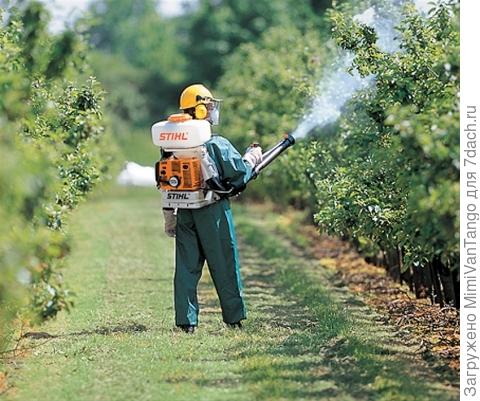 Классные,но для дачи малодоступны.