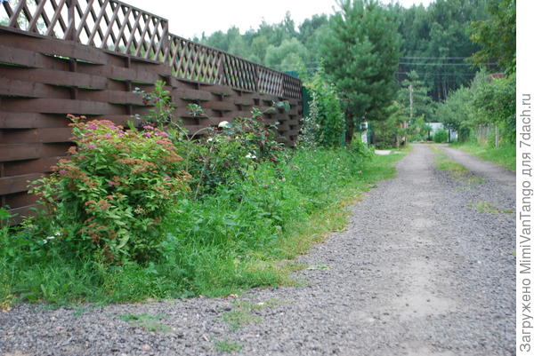 Вдоль моего забора.