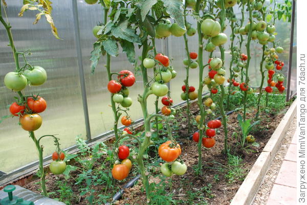 Примерно вот так я делаю.