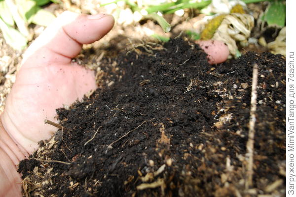 Смотрим и видим что это чернозём,с хорошей структурой,на мой взгляд эта почва живая.