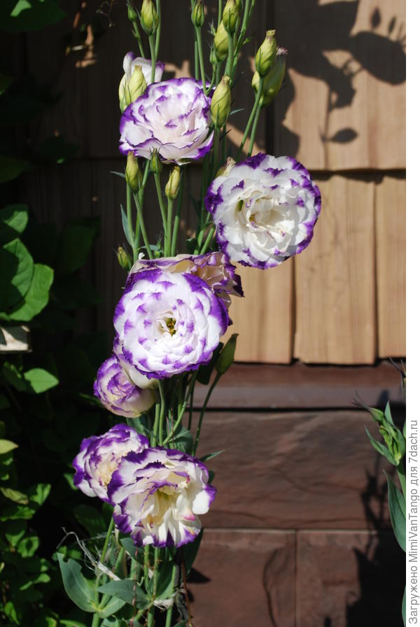 Поздравляю!