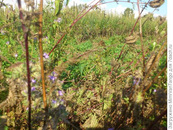 Вот на мобильник снял.