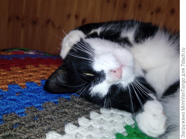 А мы большие подушки любим.