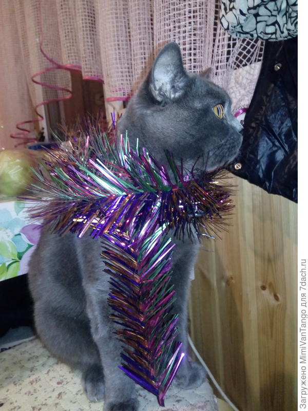 Любим Новый Год!