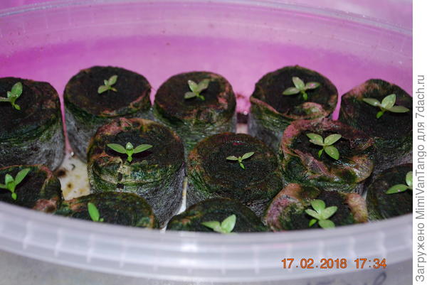 Сегодня вот такие.