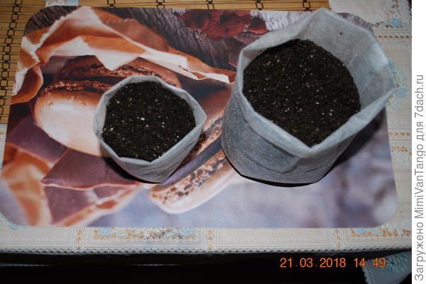 Такие заправлять грунтом не сложно.Маленький пол литра с завёрнутыми краями