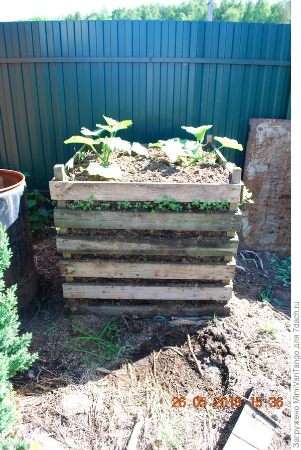 Такой ящик на сегодняшний день.