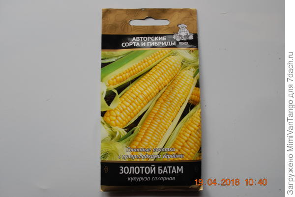 Пакетик с семенами.