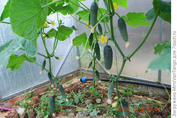 Кстати тоже от Партнёра(о которых писал) и Поиска.