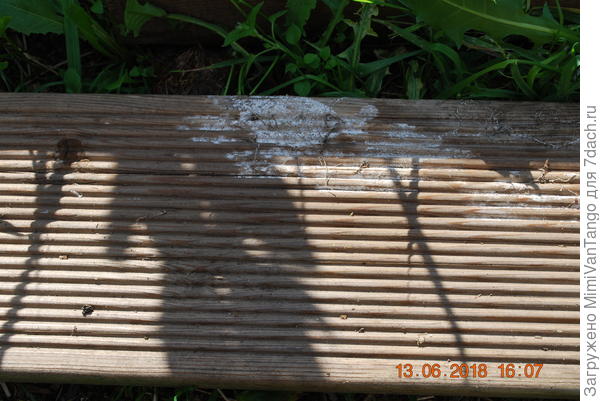 Мицелий её осваивает.