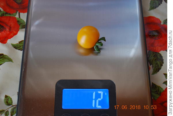 Начали кушать в начале июня...