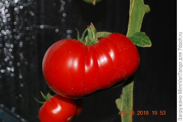 Гости были...и конкурсные полупили...