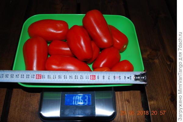 Остатки Царского Искушения после гостей.