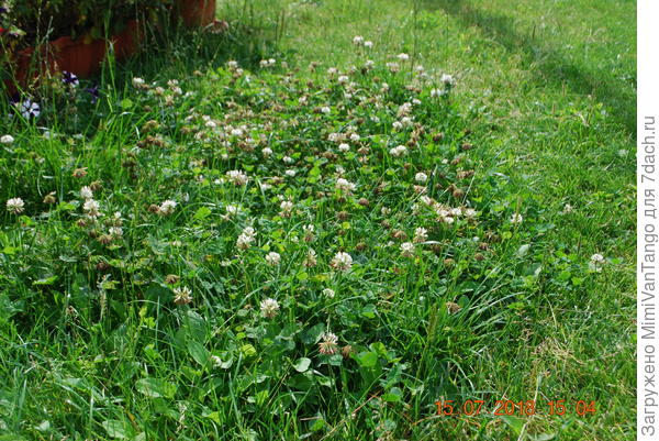 Мне он не мешает.