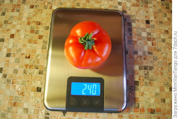 Плод лирики.