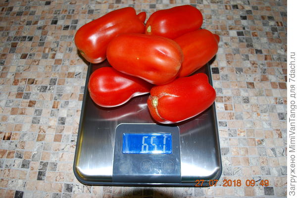 Вес сбора всего 651 г.