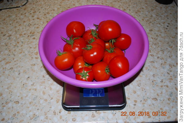 Сбор пятый.