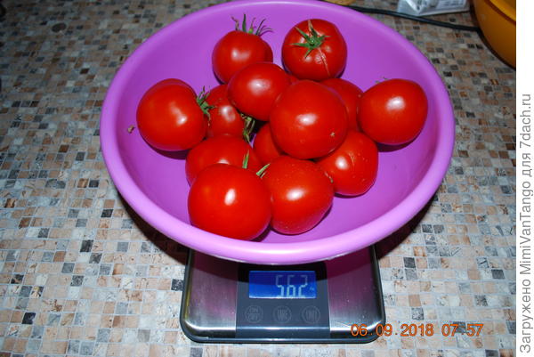 Общий сбор.