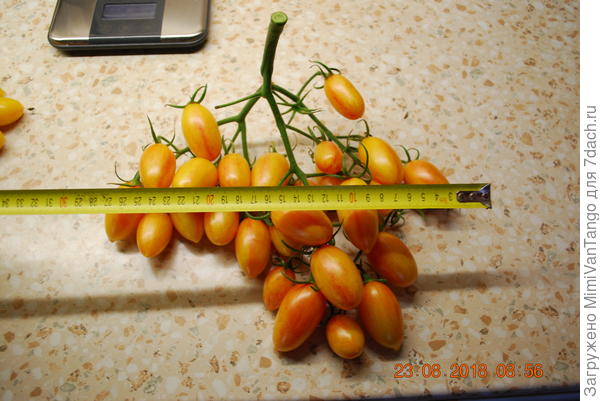 Размер кисти.