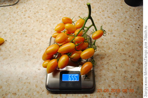 Вес всего 655 г.